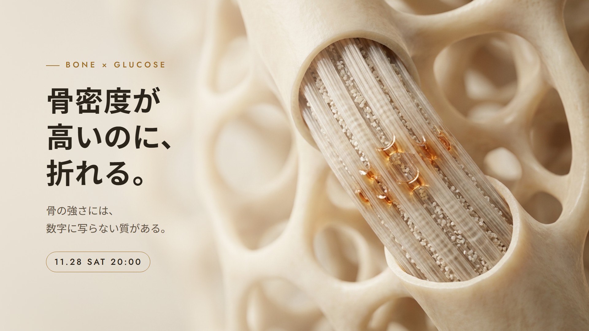プレミアセミナー