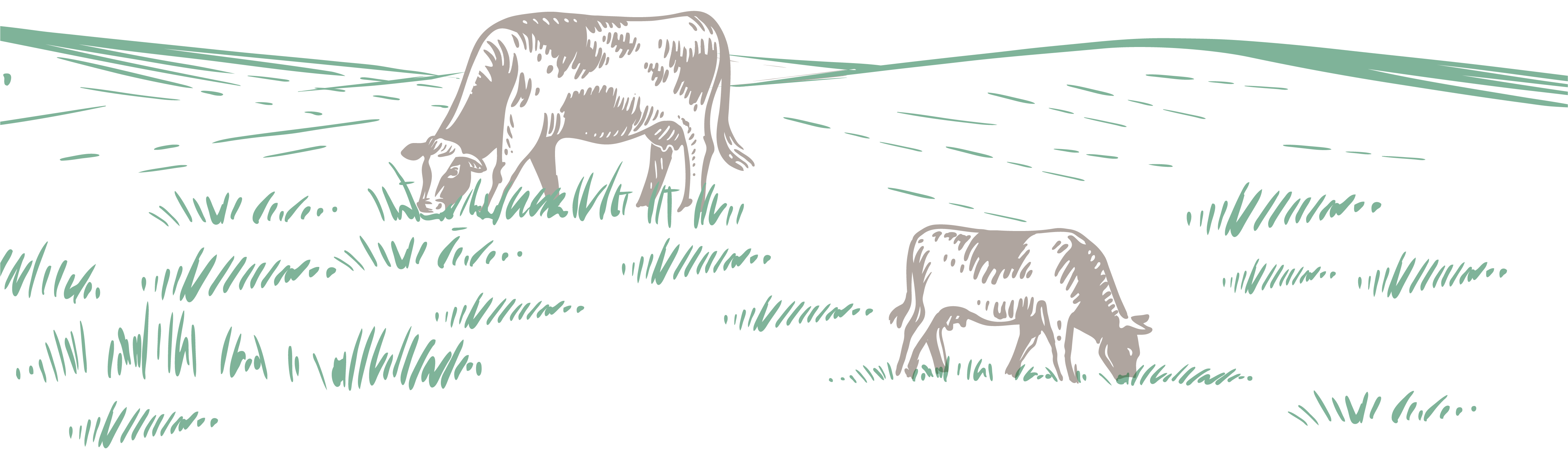 牧草地と牛のイラスト